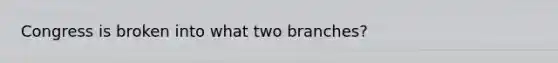 Congress is broken into what two branches?