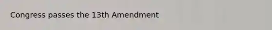 Congress passes the 13th Amendment