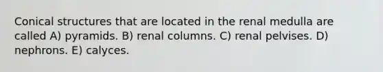 Conical structures that are located in the renal medulla are called A) pyramids. B) renal columns. C) renal pelvises. D) nephrons. E) calyces.