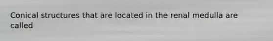 Conical structures that are located in the renal medulla are called