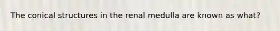 The conical structures in the renal medulla are known as what?