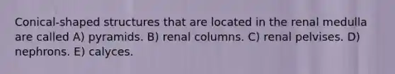 Conical-shaped structures that are located in the renal medulla are called A) pyramids. B) renal columns. C) renal pelvises. D) nephrons. E) calyces.