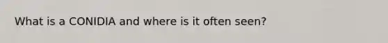 What is a CONIDIA and where is it often seen?