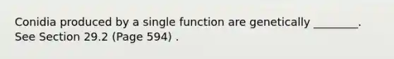 Conidia produced by a single function are genetically ________. See Section 29.2 (Page 594) .