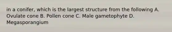 in a conifer, which is the largest structure from the following A. Ovulate cone B. Pollen cone C. Male gametophyte D. Megasporangium