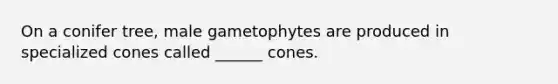 On a conifer tree, male gametophytes are produced in specialized cones called ______ cones.