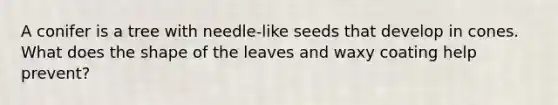 A conifer is a tree with needle-like seeds that develop in cones. What does the shape of the leaves and waxy coating help prevent?