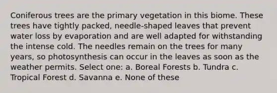 Coniferous trees are the primary vegetation in this biome. These trees have tightly packed, needle-shaped leaves that prevent water loss by evaporation and are well adapted for withstanding the intense cold. The needles remain on the trees for many years, so photosynthesis can occur in the leaves as soon as the weather permits. Select one: a. Boreal Forests b. Tundra c. Tropical Forest d. Savanna e. None of these