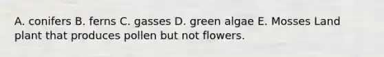 A. conifers B. ferns C. gasses D. green algae E. Mosses Land plant that produces pollen but not flowers.