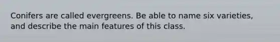 Conifers are called evergreens. Be able to name six varieties, and describe the main features of this class.