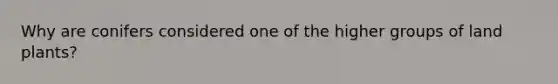 Why are conifers considered one of the higher groups of land plants?