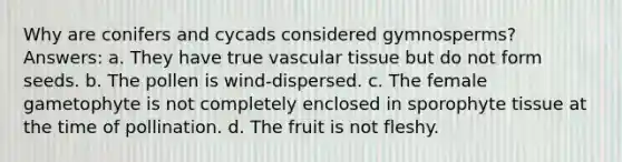 Why are conifers and cycads considered gymnosperms? Answers: a. They have true vascular tissue but do not form seeds. b. The pollen is wind-dispersed. c. The female gametophyte is not completely enclosed in sporophyte tissue at the time of pollination. d. The fruit is not fleshy.