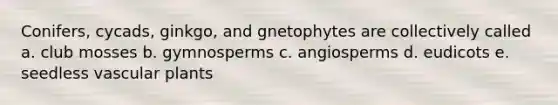 Conifers, cycads, ginkgo, and gnetophytes are collectively called a. club mosses b. gymnosperms c. angiosperms d. eudicots e. seedless vascular plants