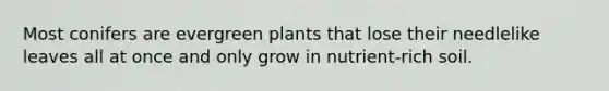 Most conifers are evergreen plants that lose their needlelike leaves all at once and only grow in nutrient-rich soil.