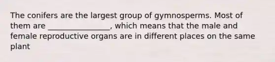 The conifers are the largest group of gymnosperms. Most of them are ________________, which means that the male and female reproductive organs are in different places on the same plant