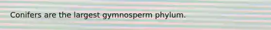 Conifers are the largest gymnosperm phylum.