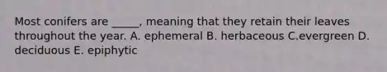 Most conifers are _____, meaning that they retain their leaves throughout the year. A. ephemeral B. herbaceous C.evergreen D. deciduous E. epiphytic