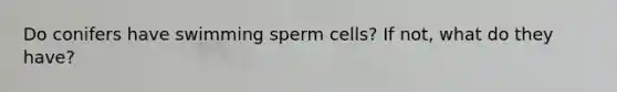 Do conifers have swimming sperm cells? If not, what do they have?