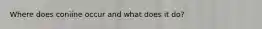 Where does coniine occur and what does it do?
