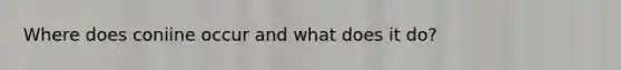 Where does coniine occur and what does it do?