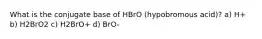 What is the conjugate base of HBrO (hypobromous acid)? a) H+ b) H2BrO2 c) H2BrO+ d) BrO-