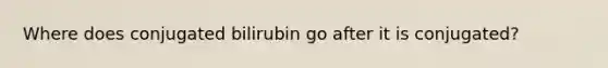 Where does conjugated bilirubin go after it is conjugated?