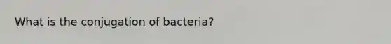 What is the conjugation of bacteria?