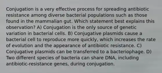 Conjugation is a very effective process for spreading antibiotic resistance among diverse bacterial populations such as those found in the mammalian gut. Which statement best explains this observation? A) Conjugation is the only source of genetic variation in bacterial cells. B) Conjugative plasmids cause a bacterial cell to reproduce more quickly, which increases the rate of evolution and the appearance of antibiotic resistance. C) Conjugative plasmids can be transferred to a bacteriophage. D) Two different species of bacteria can share DNA, including antibiotic-resistance genes, during conjugation.