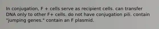 In conjugation, F + cells serve as recipient cells. can transfer DNA only to other F+ cells. do not have conjugation pili. contain "jumping genes." contain an F plasmid.