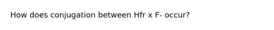 How does conjugation between Hfr x F- occur?