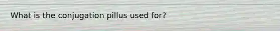 What is the conjugation pillus used for?