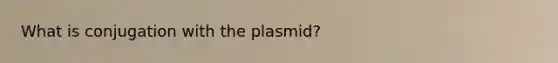 What is conjugation with the plasmid?