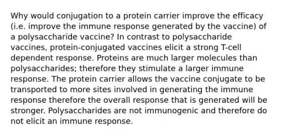 Why would conjugation to a protein carrier improve the efficacy (i.e. improve the immune response generated by the vaccine) of a polysaccharide vaccine? In contrast to polysaccharide vaccines, protein-conjugated vaccines elicit a strong T-cell dependent response. Proteins are much larger molecules than polysaccharides; therefore they stimulate a larger immune response. The protein carrier allows the vaccine conjugate to be transported to more sites involved in generating the immune response therefore the overall response that is generated will be stronger. Polysaccharides are not immunogenic and therefore do not elicit an immune response.