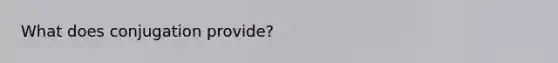 What does conjugation provide?