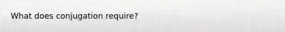 What does conjugation require?