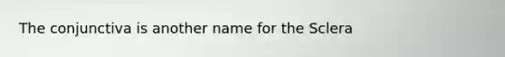 The conjunctiva is another name for the Sclera