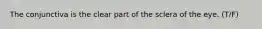 The conjunctiva is the clear part of the sclera of the eye. (T/F)