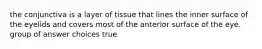 the conjunctiva is a layer of tissue that lines the inner surface of the eyelids and covers most of the anterior surface of the eye. group of answer choices true