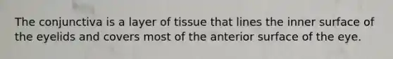 The conjunctiva is a layer of tissue that lines the inner surface of the eyelids and covers most of the anterior surface of the eye.