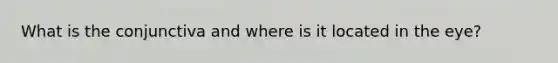 What is the conjunctiva and where is it located in the eye?
