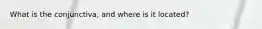 What is the conjunctiva, and where is it located?