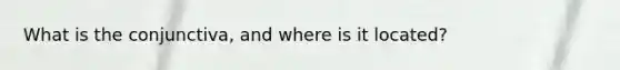 What is the conjunctiva, and where is it located?