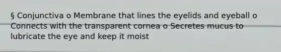 § Conjunctiva o Membrane that lines the eyelids and eyeball o Connects with the transparent cornea o Secretes mucus to lubricate the eye and keep it moist