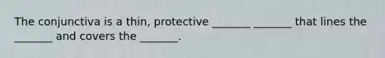 The conjunctiva is a thin, protective _______ _______ that lines the _______ and covers the _______.
