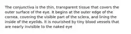 The conjunctiva is the thin, transparent tissue that covers the outer surface of the eye. It begins at the outer edge of the cornea, covering the visible part of the sclera, and lining the inside of the eyelids. It is nourished by tiny blood vessels that are nearly invisible to the naked eye