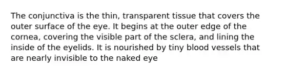 The conjunctiva is the thin, transparent tissue that covers the outer surface of the eye. It begins at the outer edge of the cornea, covering the visible part of the sclera, and lining the inside of the eyelids. It is nourished by tiny blood vessels that are nearly invisible to the naked eye