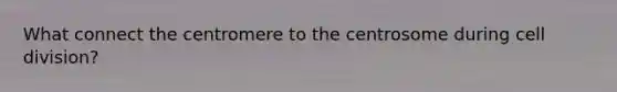 What connect the centromere to the centrosome during cell division?