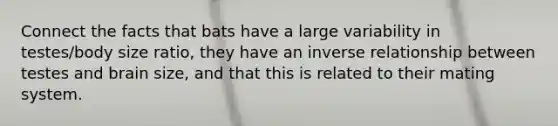 Connect the facts that bats have a large variability in testes/body size ratio, they have an <a href='https://www.questionai.com/knowledge/kc6KNK1VxL-inverse-relation' class='anchor-knowledge'>inverse relation</a>ship between testes and brain size, and that this is related to their mating system.