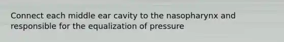 Connect each middle ear cavity to the nasopharynx and responsible for the equalization of pressure