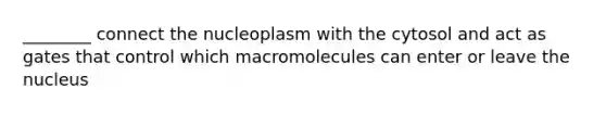 ________ connect the nucleoplasm with the cytosol and act as gates that control which macromolecules can enter or leave the nucleus